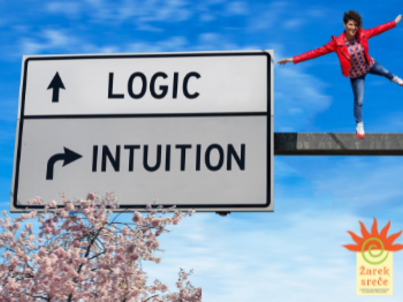 Intuition is like a muscle we need to train